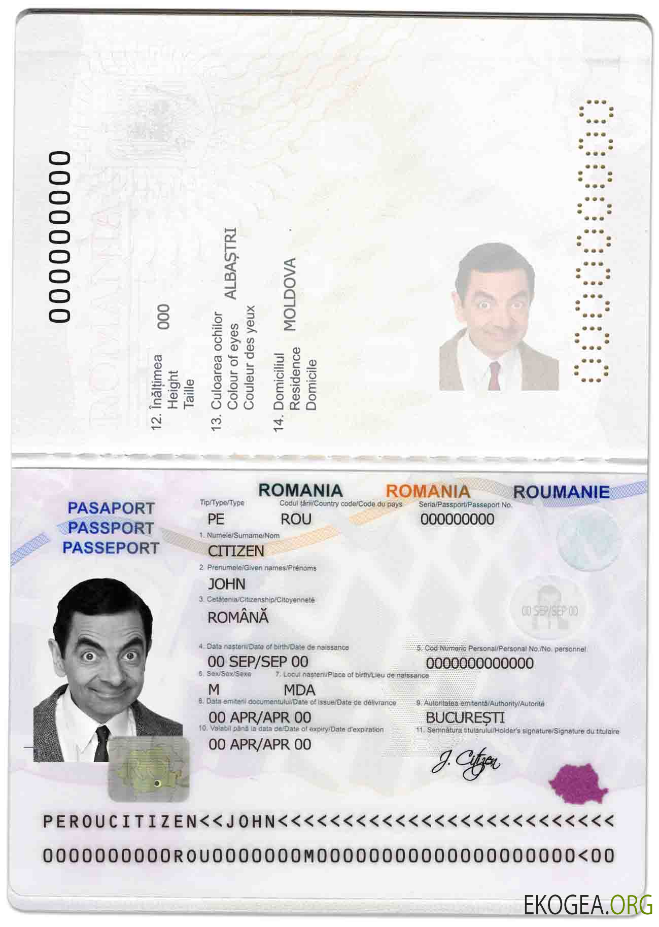 Passeport roumain template